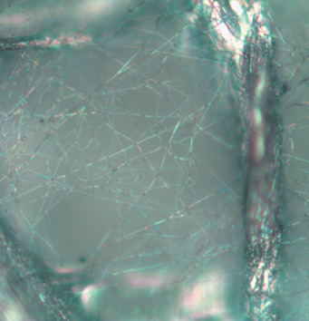 空气过滤器的光学图像