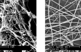 血管与静电纺丝纤维的比较