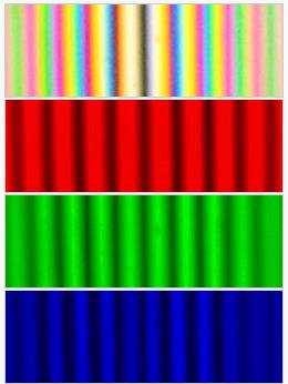 信号在白色Light Interferometry