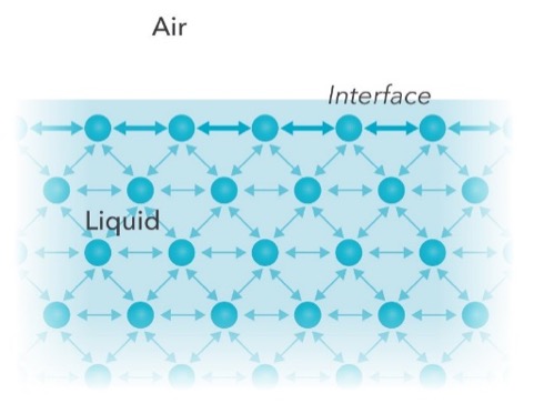 分子在体积和界面间的作用力。