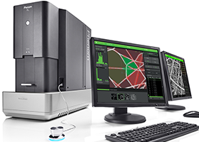 Phenom XL桌面SEM与Fibermetric软件