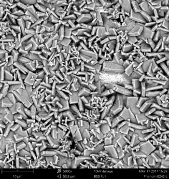 Zn3（PO4）2转换涂层的BSE图像