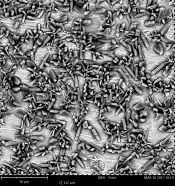 Zn3（PO4）2转换涂层的EDS图分析。