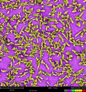 Zn3（PO4）2转换涂层的EDS图分析。