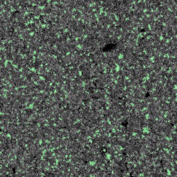 假色覆盖突出显示裸露的铁。