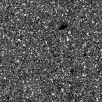 Quantitative image processing to measure zinc phosphate coating coverage