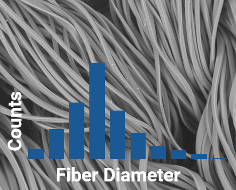 用台式扫描电镜分析纤维粒径