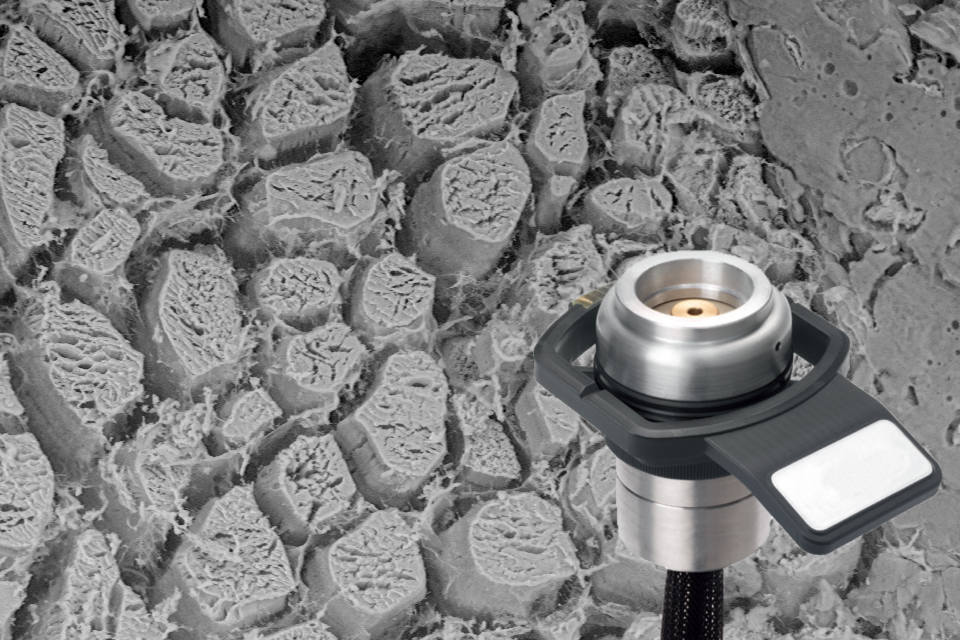 Temperature Controlled Sample Holder for Phenom SEM